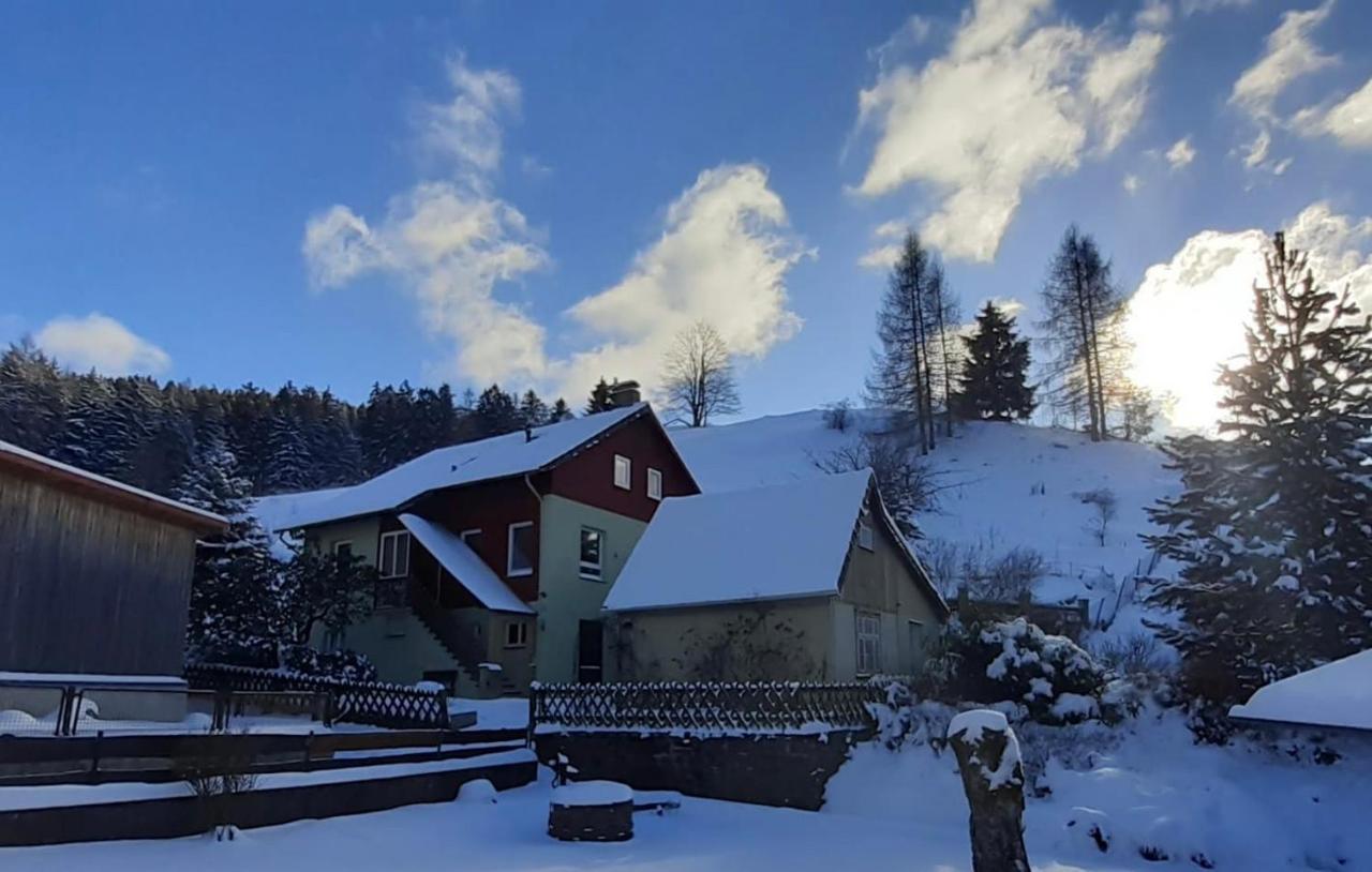 Platell Ferienhaeuser Harz Lerbach Экстерьер фото